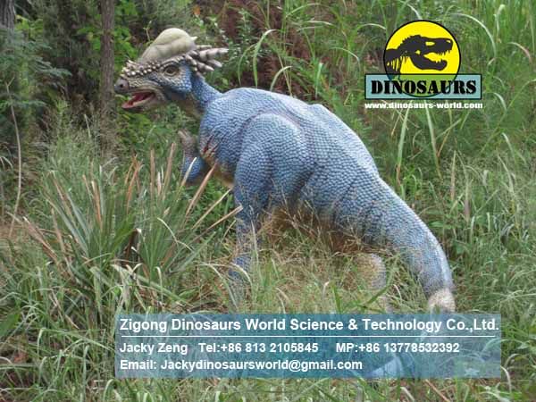 Entertainment dinosaurs ( Pachycephalosaurus ) DWD012